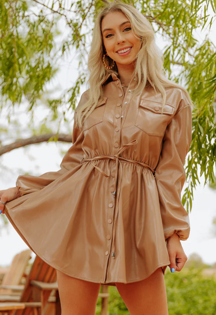 Ariella Button Up Mini Dress